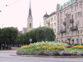 flowers, Stockholm