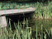 bridge, Drottingholm