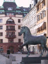 horse, Stockholm