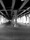 The El