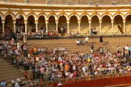 Bull Fight, Seville