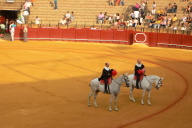 Bull Fight, Seville