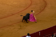 Bull Fight, Seville