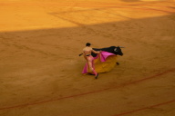 Bull Fight, Seville
