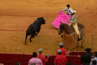 Bull Fight, Seville