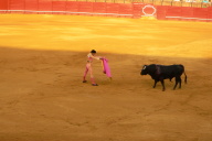 Bull Fight, Seville