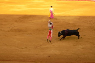 Bull Fight, Seville