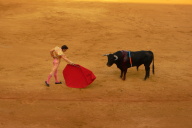 Bull Fight, Seville
