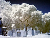 Laurel Hill Cemetery, Philadelphia Laurel Hill Cemetery, Philadelphia