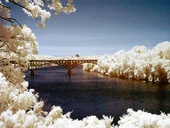 Strawberry Mansion Bridge