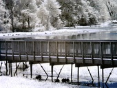 John Heinz Wildlife Refuge