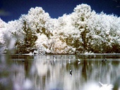 John Heinz Wildlife Refuge