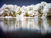 John Heinz Wildlife Refuge