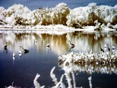 John Heinz Wildlife Refuge