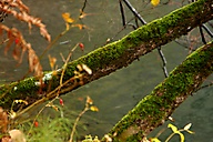 Plitvice Lakes Croatia