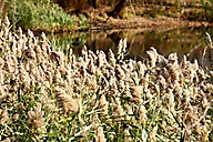 John Heinz Wildlife Refuge