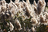 John Heinz Wildlife Refuge