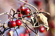 John Heinz Wildlife Refuge John Heinz Wildlife Refuge