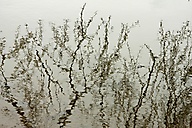 reflection reflection