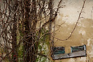 Abandoned House, Fort Washington
