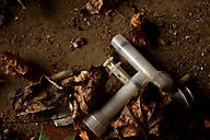 Abandoned House, Fort Washington