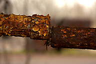 Abandoned Ore Transfer Facility