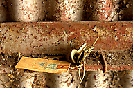 Abandoned Ore Transfer Facility