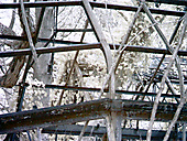 Greenhouse, Chestnut Hill Greenhouse, Chestnut Hill