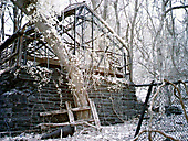 Greenhouse, Chestnut Hill Greenhouse, Chestnut Hill