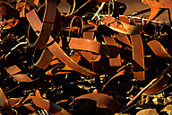 Abandoned Railroad Viaduct, Philadelphia