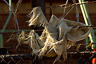 Abandoned Railroad Viaduct, Philadelphia Abandoned Railroad Viaduct, Philadelphia