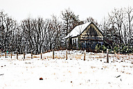 Abandoned House