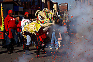 Chinese New Year Chinese New Year