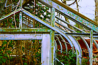 Greenhouse, Chestnut Hill