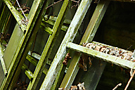 Greenhouse, Chestnut Hill Greenhouse, Chestnut Hill