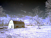 Abandoned Barn, Worcester