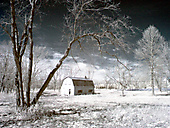 Abandoned Barn, Worcester