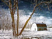 Abandoned Barn, Worcester