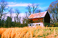 Abandoned Barn, Roxborough