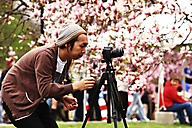 Cherry Blossom Festival