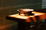 Abandoned Distillery, Linfield Abandoned Distillery, Linfield