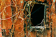 Abandoned Distillery, Linfield Abandoned Distillery, Linfield