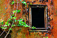 Abandoned Distillery, Linfield