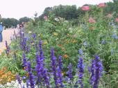 gardens, Charlottenburg, Berlin