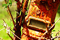 Abandoned Distillery, Linfield Abandoned Distillery, Linfield