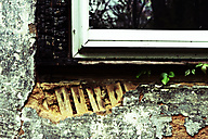 Abandoned House, Rt. 100