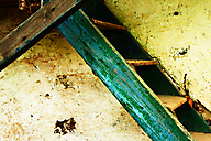 Abandoned House, Limerick