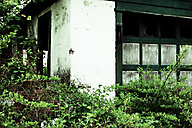 Abandoned House, Limerick