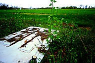 Abandoned House, Limerick