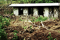 Abandoned House, Limerick